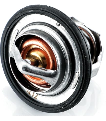 Amazon.com: FridayParts Thermostat 1C011-73013 1C01173013